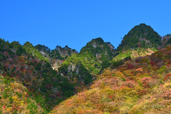 ニコン Nikon Z8 with NIKKOR Z 24-70mm f/2.8 S ／ 奈良 上北山村～天